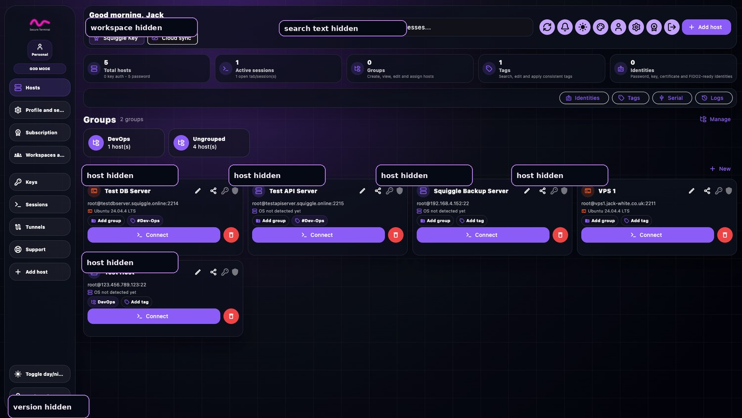Sanitised Squiggle host dashboard